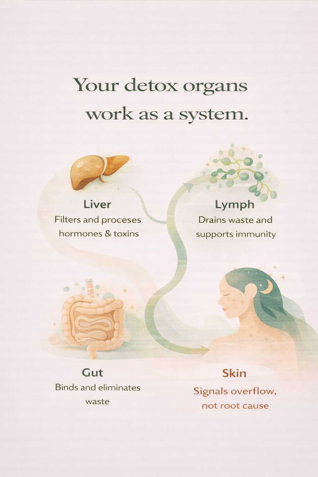 Detox Done Right: Supporting Gut Health For Clearer Skin