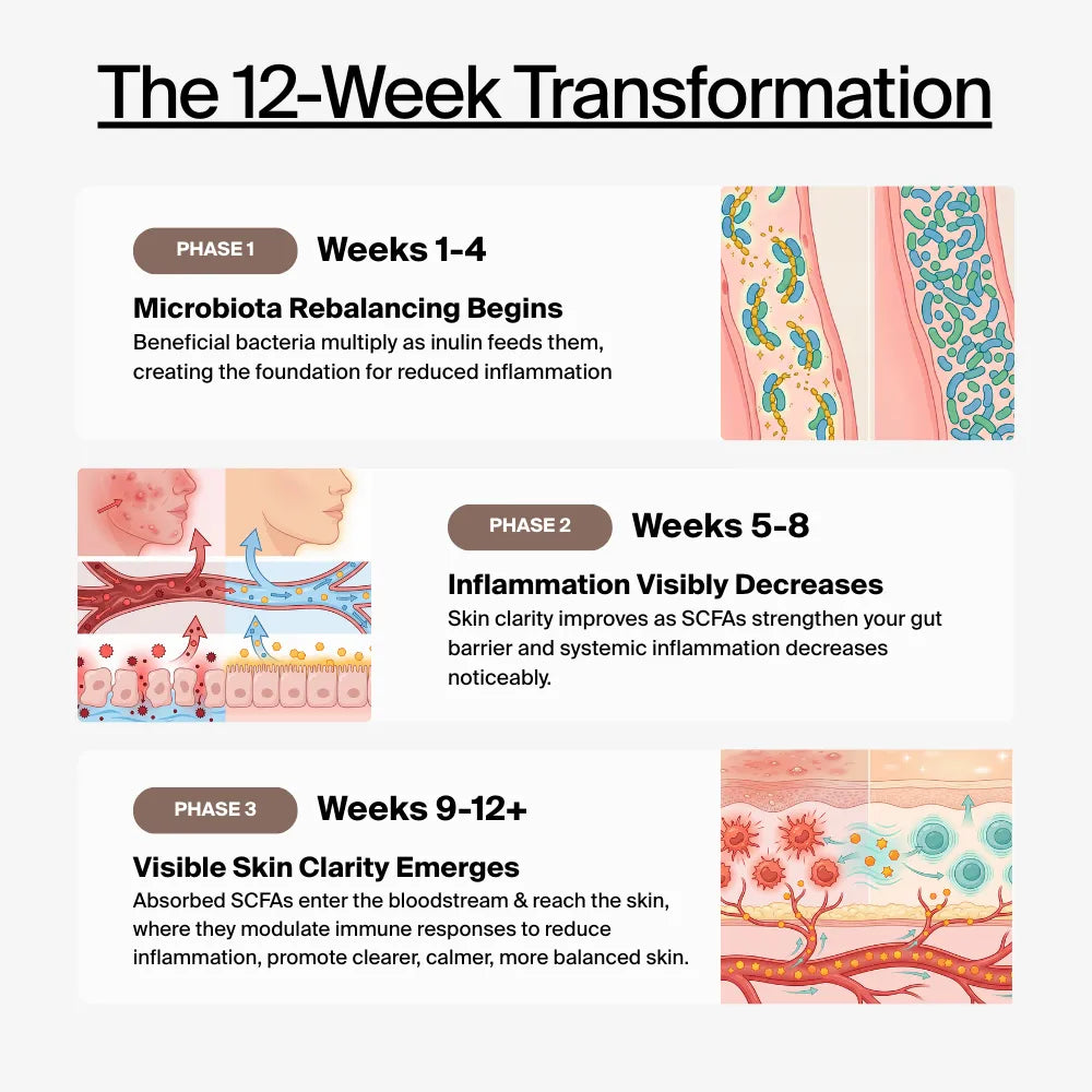 CleanBiome™ Gut Supplement