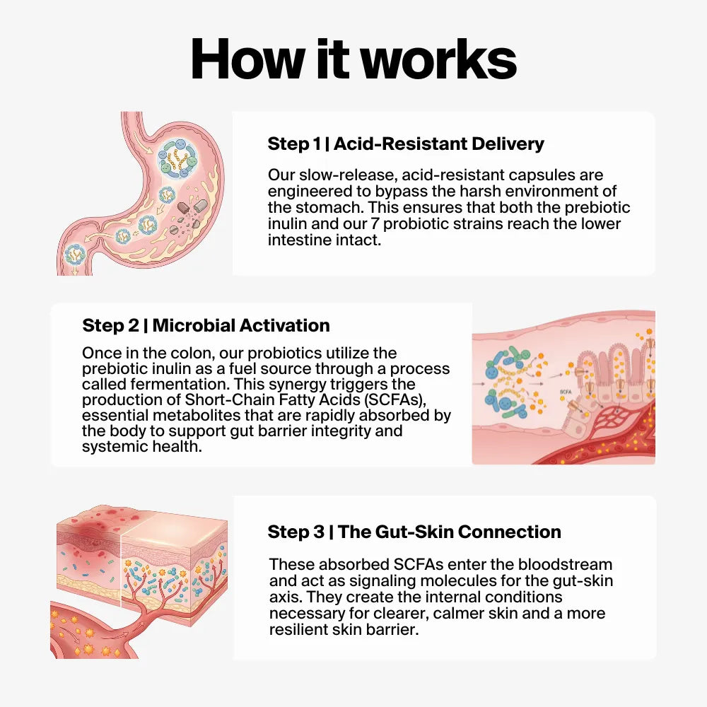 CleanBiome™ Gut Supplement
