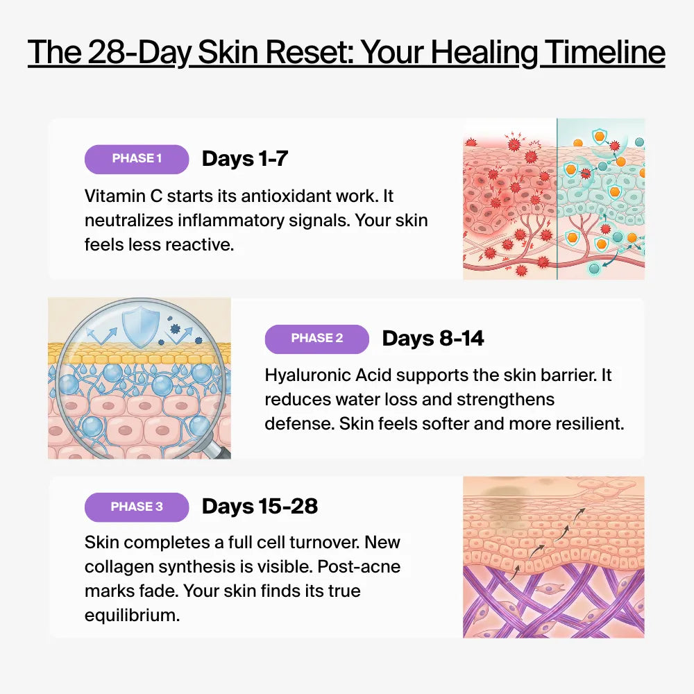 Equilibrium Hydration Supplement 28 Day Skin Reset