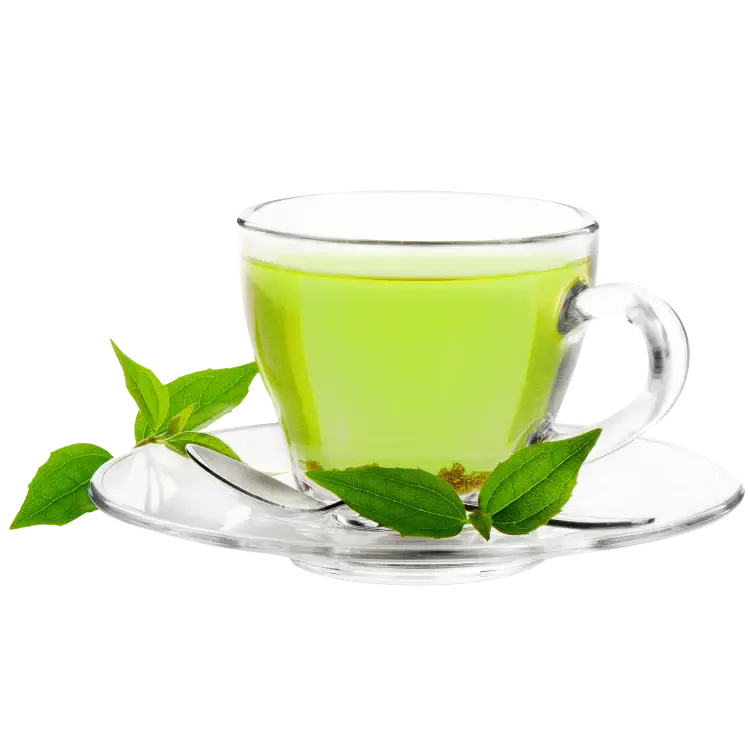 Matcha Tea Extract