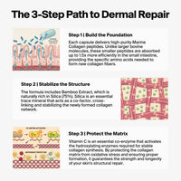 How Resilience Elasticity Supplement Works