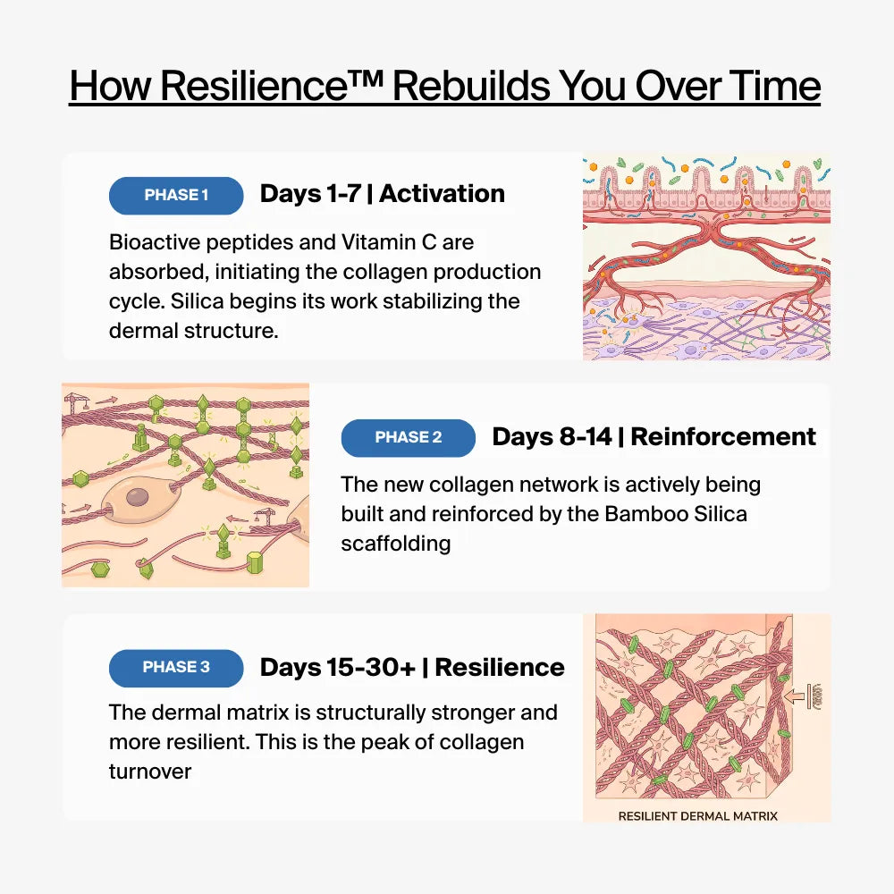 How Resilience Rebuilds You Over Time