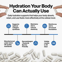 Resilience Elasticity Supplement infographic